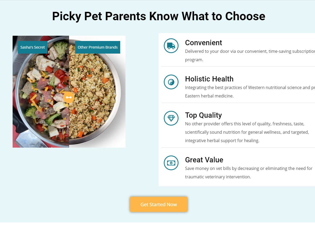 Sasha's Secret website choose page