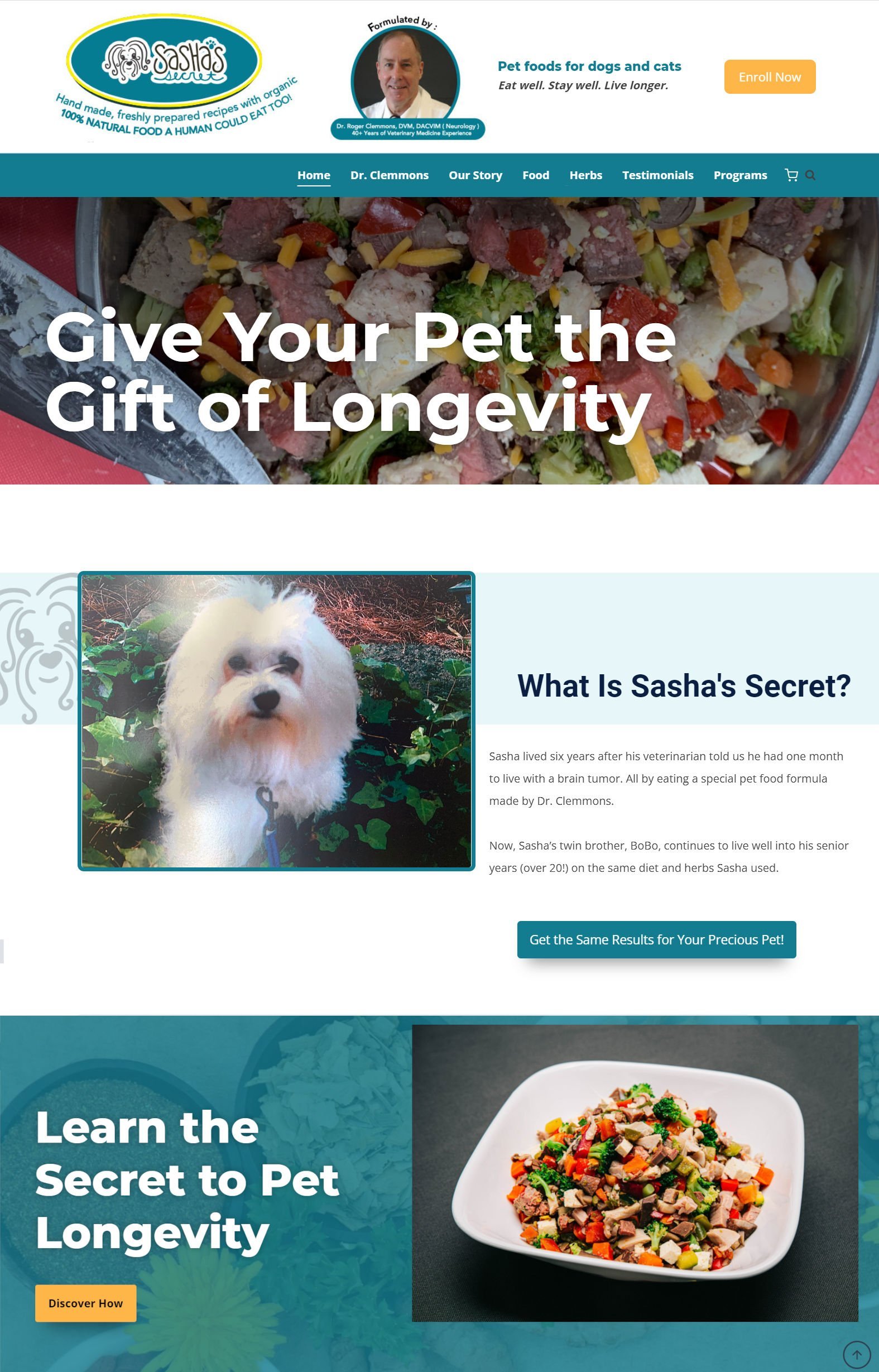 Sasha's Secret website home page