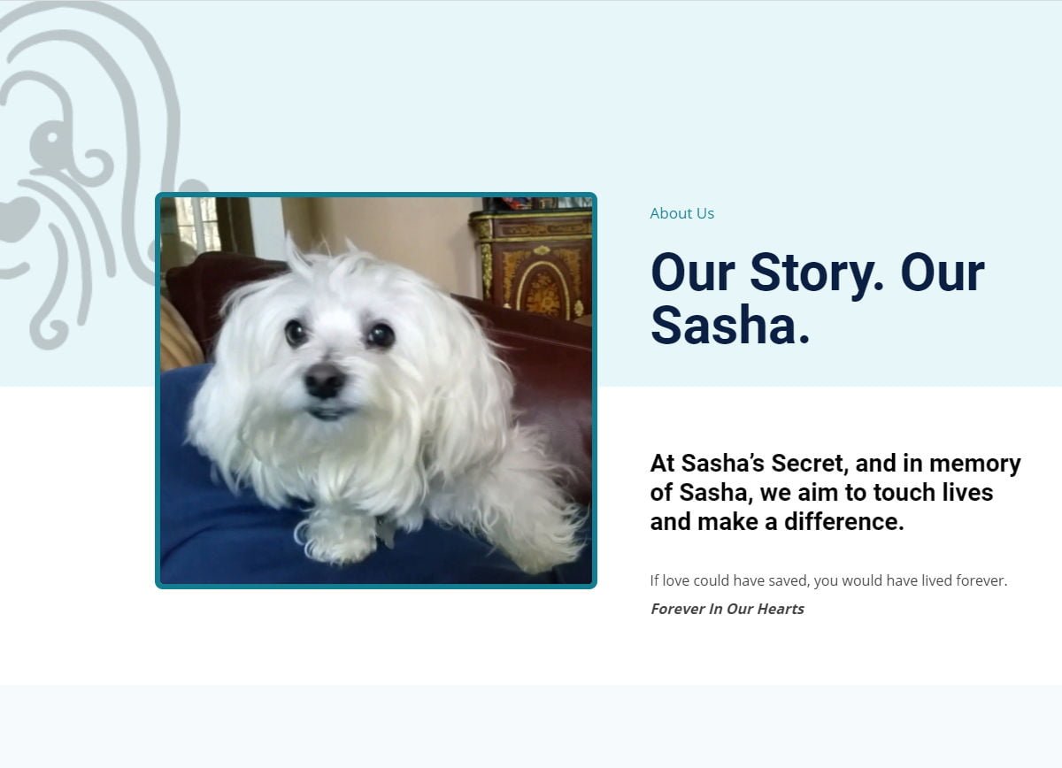 Sasha's Secret website about us page